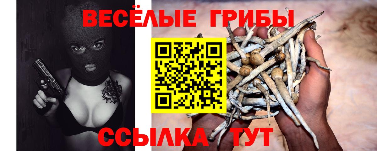 Заводоуковск  Псилоцибиновые грибы Magic Shrooms  Вход с VPN  Галлюциногенные грибы Psilocybe 